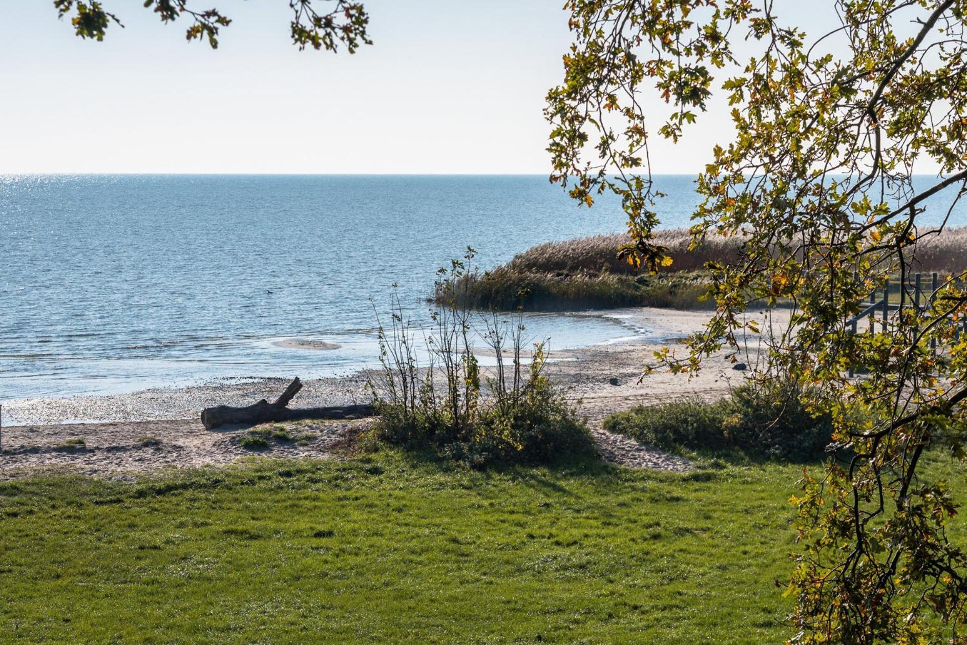 Luxe Bosvilla De Paradijsvogel *