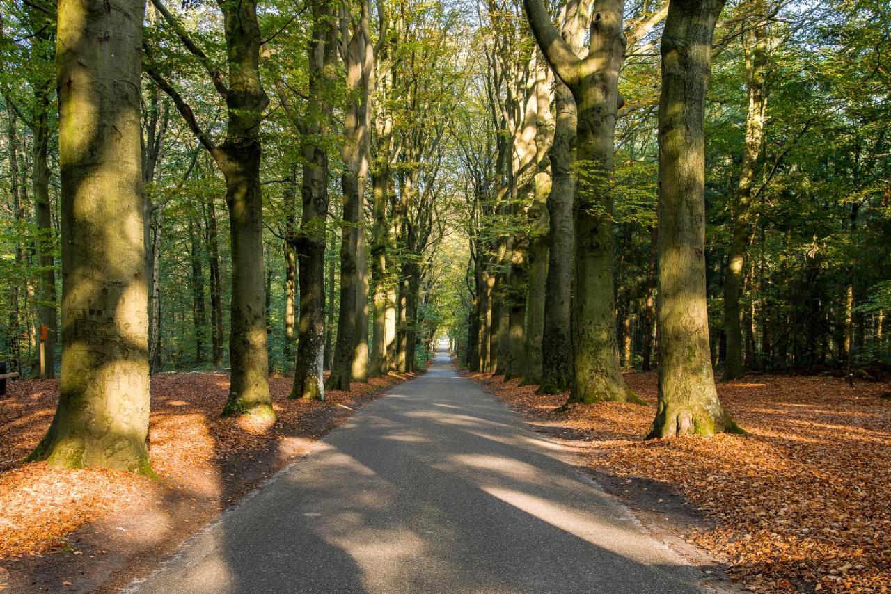 Luxe Bosvilla De Paradijsvogel *